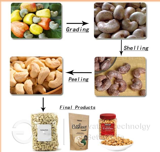 Cashew Nut Processing Line Working Process