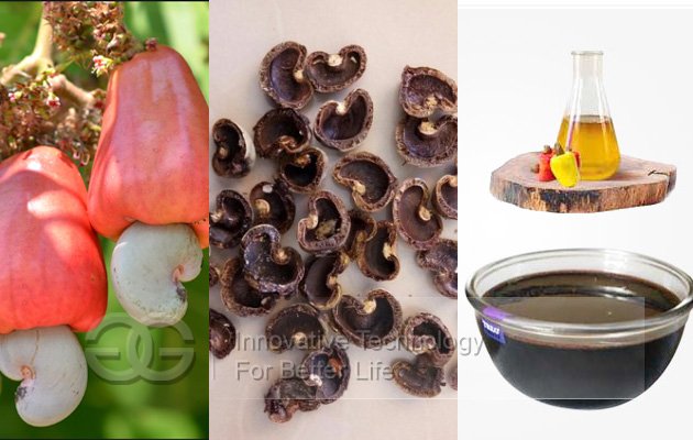 Cashew Nut Shell Oil