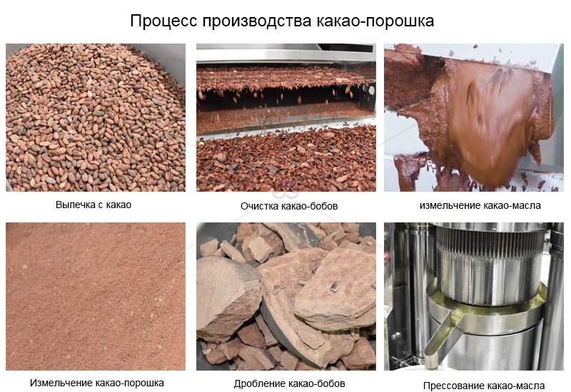 Процесс производства какао-порошка